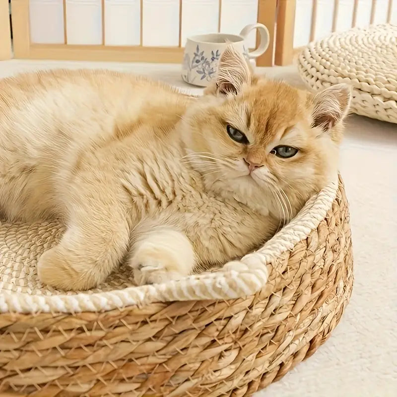 Ręcznie wykonany kosz wiklinowy dla kota